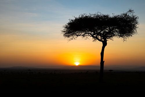 Zonsopkomst in Afrika.