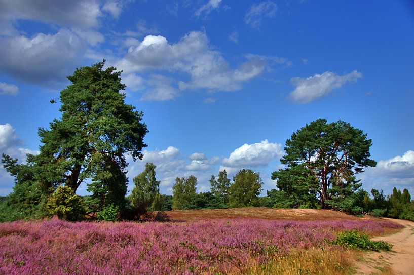 Lande Westruper 4 par Edgar Schermaul