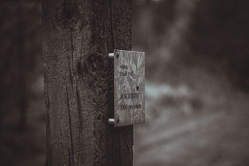 Paal kamp Westerbork