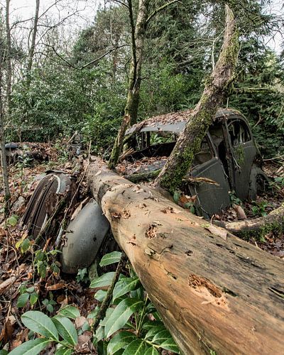 Het nest van wrakken...