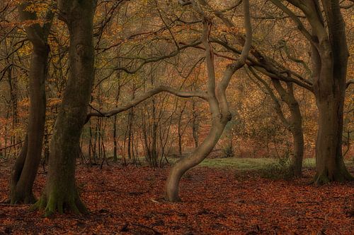 Herfst