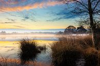 Morgennebel über einem kleinen See im Wald von Wilko Visscher Miniaturansicht