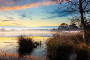 Brume matinale sur un petit lac dans les bois
