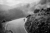 Lonely biker