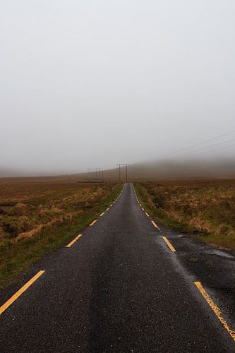 In den Nebel