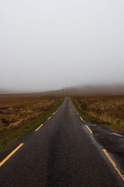 Dans le brouillard par Licht! Fotografie