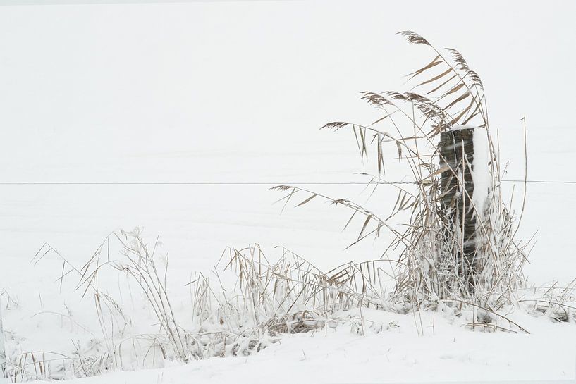 Winters landschap by Fons Brekelmans