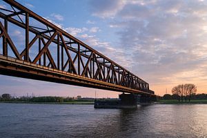 Rheinpark, Duisburg, Deutschland