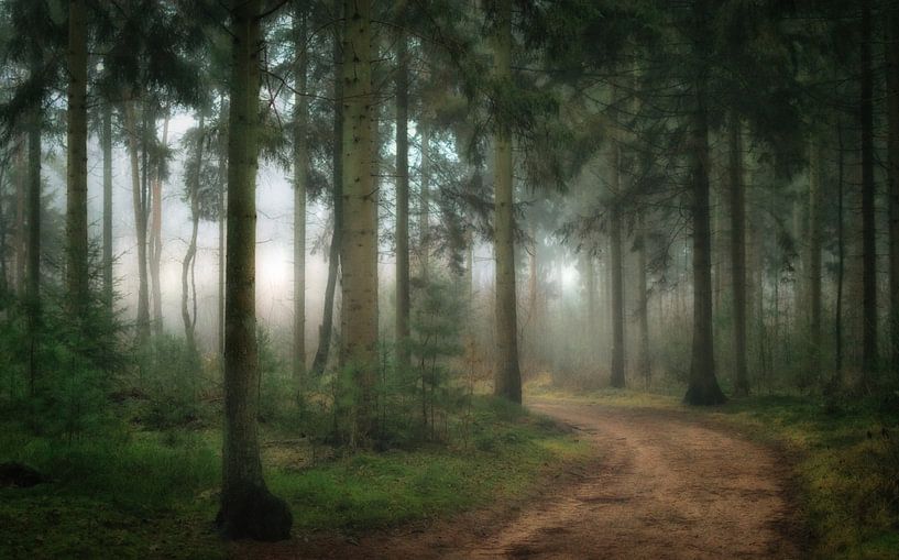 The curve by Pascal Raymond Dorland