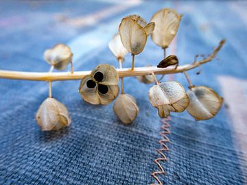 Saatgutkästchen auf genähtem Textil von Susan Hol