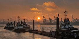Sleepboot in de haven van Hamburg bij zonsopgang van Jonas Weinitschke