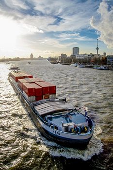 Kommen und Gehen in Rotterdam