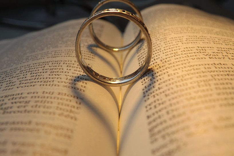 trouwringen  par Ella Van den Berg