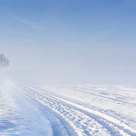 De eenzame boom in een winters landschap van peter reinders