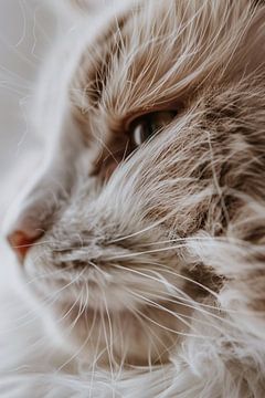 Close-up portret van een kat van Imperial Art House