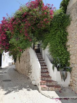 Mallorca living von Matthias Spartz