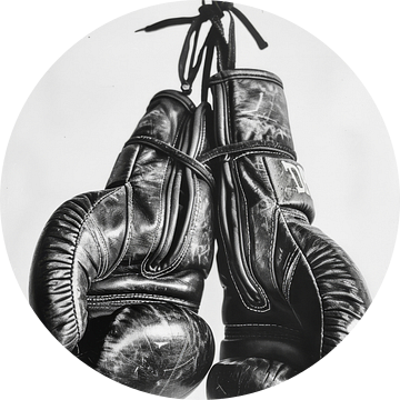 Bokshandschoenen in beeld van Poster Art Shop