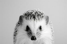 Hedgehog by Poster Art Shop