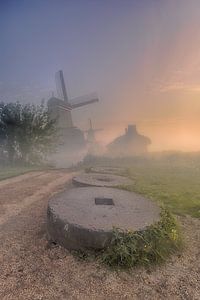 Les moulins Zaanse Schans avec le brouillard