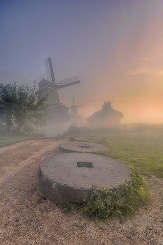 Les moulins Zaanse Schans avec le brouillard