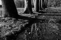 Waterplas 1