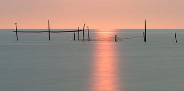 Lumière de la mer sur Aline van Weert