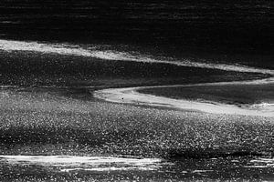 Lines in black and white 3
