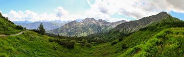 de Alpen van Thomas Heitz