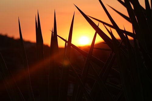 Zonsondergang Lesbos