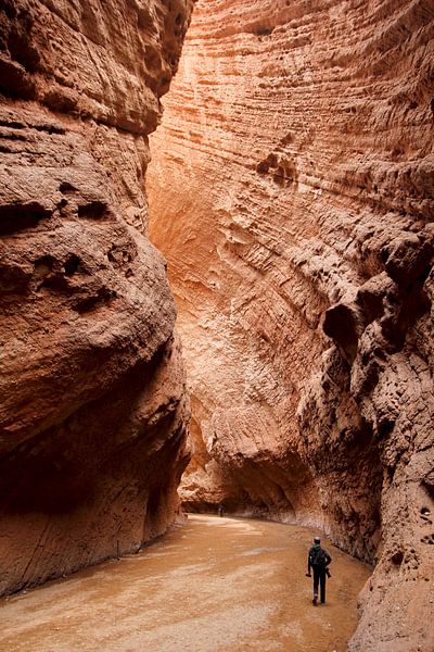Kloof in China, Xinjiang by Simon Hazenberg