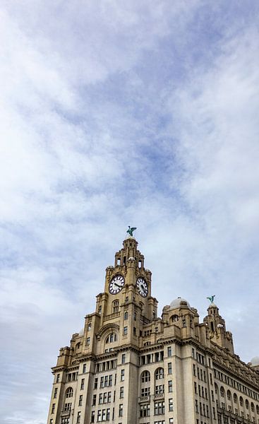 Liverpool by Hello Pompoyo