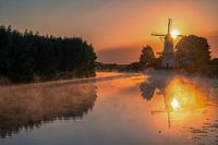Windmill the Butterfly in Beesd