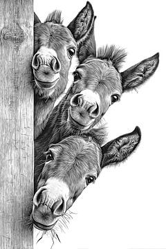 Trois ânes jetant un œil par la porte de la grange, dessin vintage