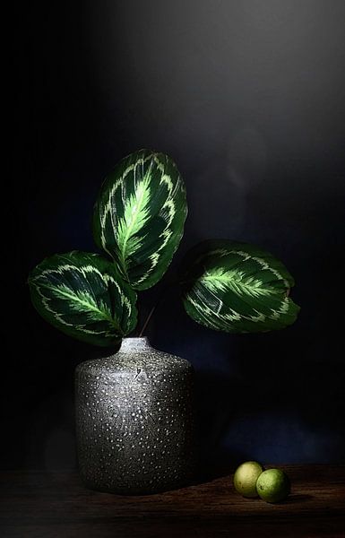 Die Natur als Künstler. Stilleben mit Blättern und Limetten von Saskia Dingemans Awarded Photographer