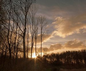 Wachten op de dag sur Anneriek de Jong