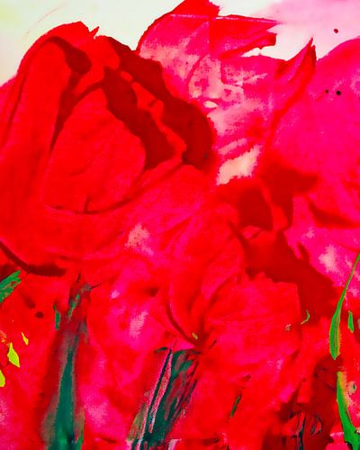 tulips    