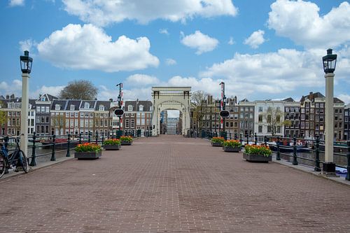 Tulpen bij de Magere brug in Amsterdam