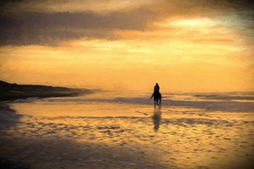 Pferd am  holländischen Strand von eric van der eijk