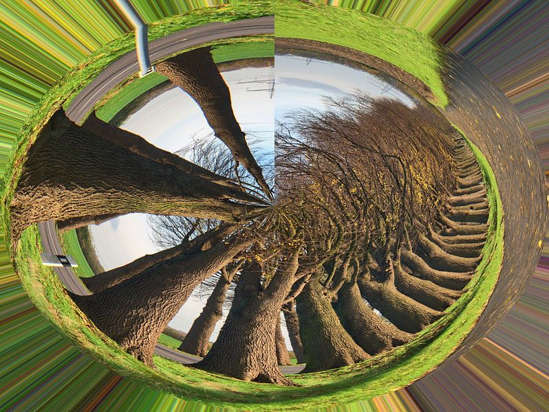 Rond bomen van Edgar Schermaul