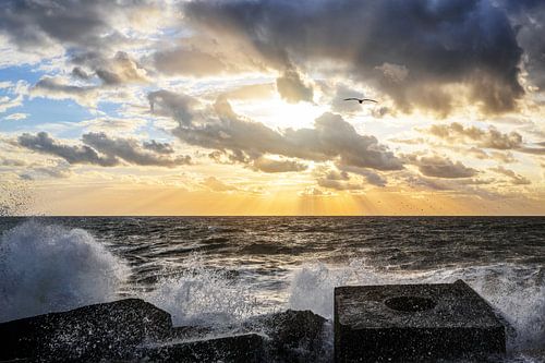 New Beginnings by Cho Tang