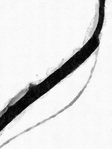 Minimalistisch zwart-wit D2