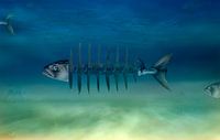 Underwaterworld