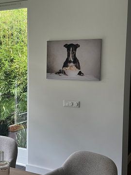 Kundenfoto: Pasta! Windhund von Nuelle Flipse