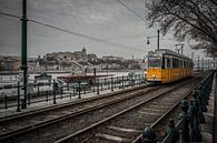 Charakteristische Straßenbahn in Budapest, Ungarn von Rick van Geel Miniaturansicht