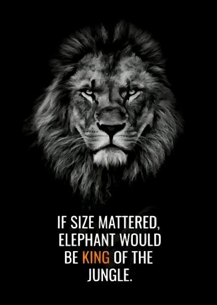 König Motivation von Quotes Motivation