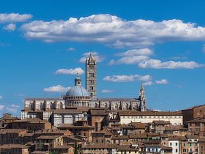Dom von Siena