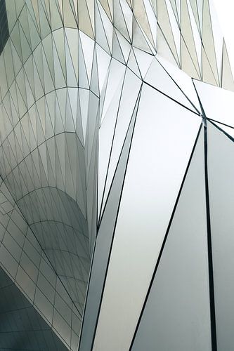 Lignes épurées au Musée des Confluences, Lyon