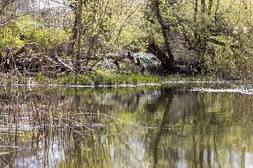 Rathenow "Stad van de Optiek