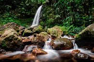 Waterval in Nationaal Park Halimun-Salak - West-Java, Indonesië van Martijn Smeets thumbnail