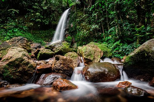 Wasserfall im Halimun-Salak-Nationalpark - West Java, Indonesien von Martijn Smeets
